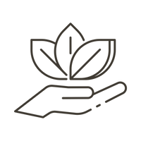 經研究證實的成分